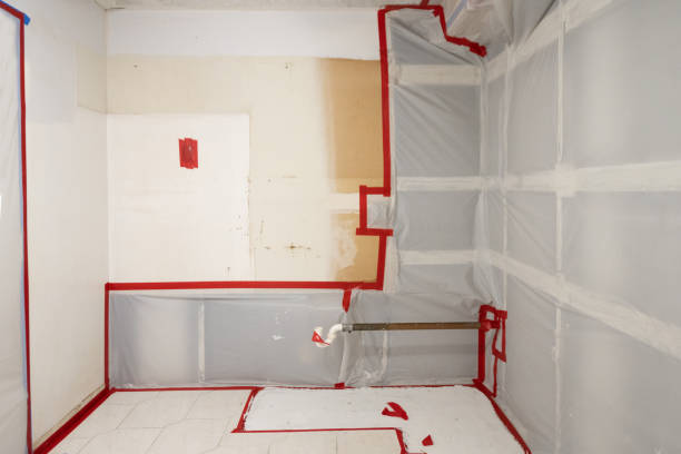 Evart, MI Mold Removal Company