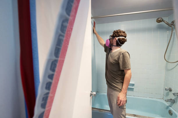 Best Asbestos and Lead Testing During Mold Inspection  in Evart, MI