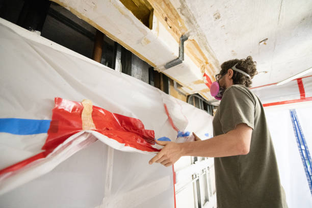 Best Post-Construction Mold Inspection  in Evart, MI