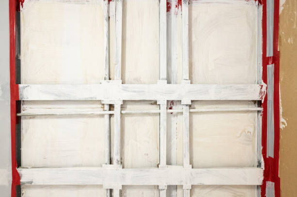 Best Mold Removal for HVAC Installations  in Evart, MI