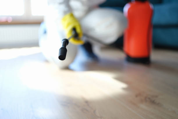 Best Mold Odor Removal Services  in Evart, MI