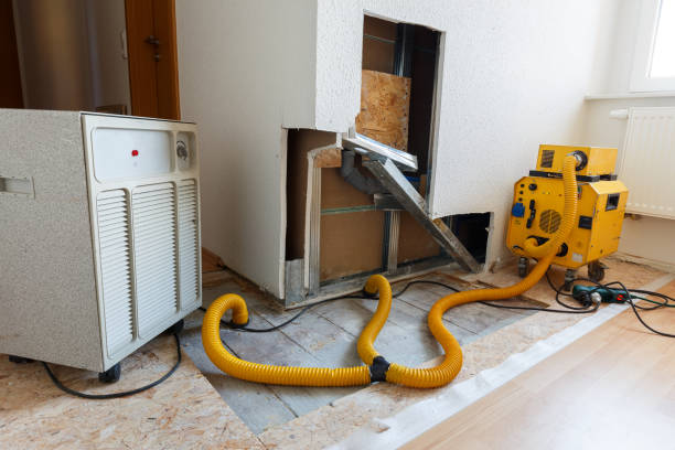 Best Biohazard Mold Removal  in Evart, MI