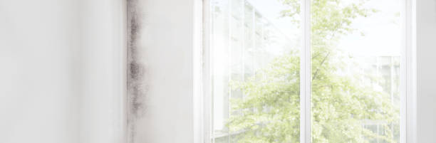 Best HVAC Mold Inspection and Cleaning  in Evart, MI