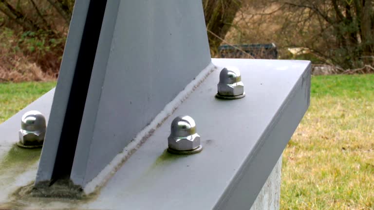 Best Attic Mold Removal  in Evart, MI